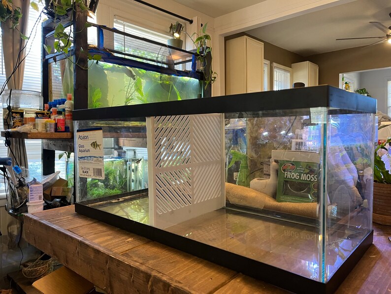 20 Gallon Long 3D Printed Aquarium Divider Betta Tank Divider Etsy