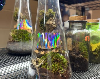Poison Beaker Moss Terrarium