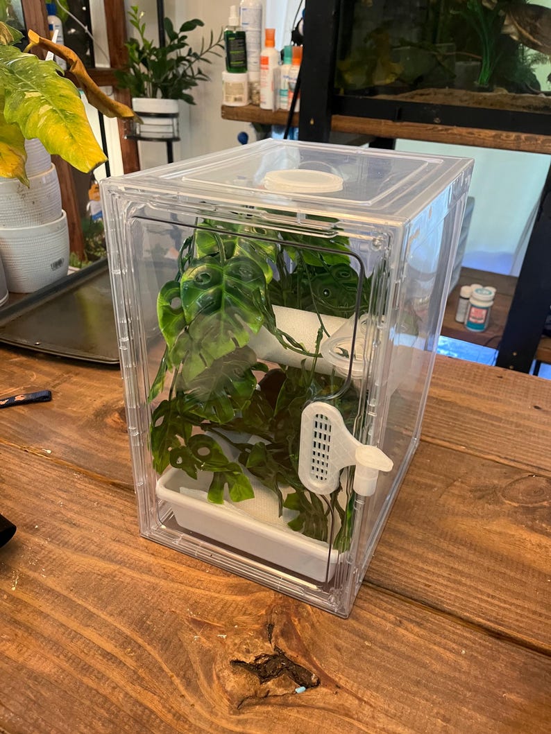 Arboreal Grow Out Enclosure for Raising Healthy Baby Animals - Small ...