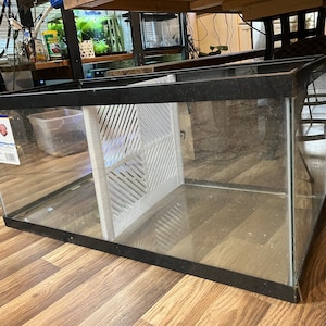 May include: A rectangular glass aquarium with a black frame and a white divider. The tank has a label that reads "Aqueon Glass Aquarium". The aquarium is empty and sits on a wooden floor.