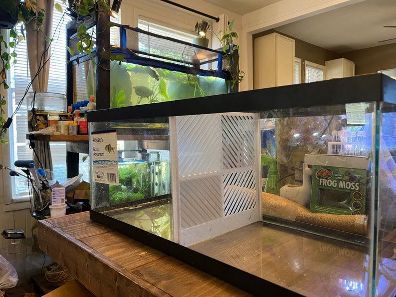 20 Gallon Long 3D Printed Aquarium Divider Betta Tank Divider Etsy