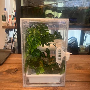 Arboreal Grow Out Enclosure for Raising Healthy Baby Animals - Small Animal Supplies