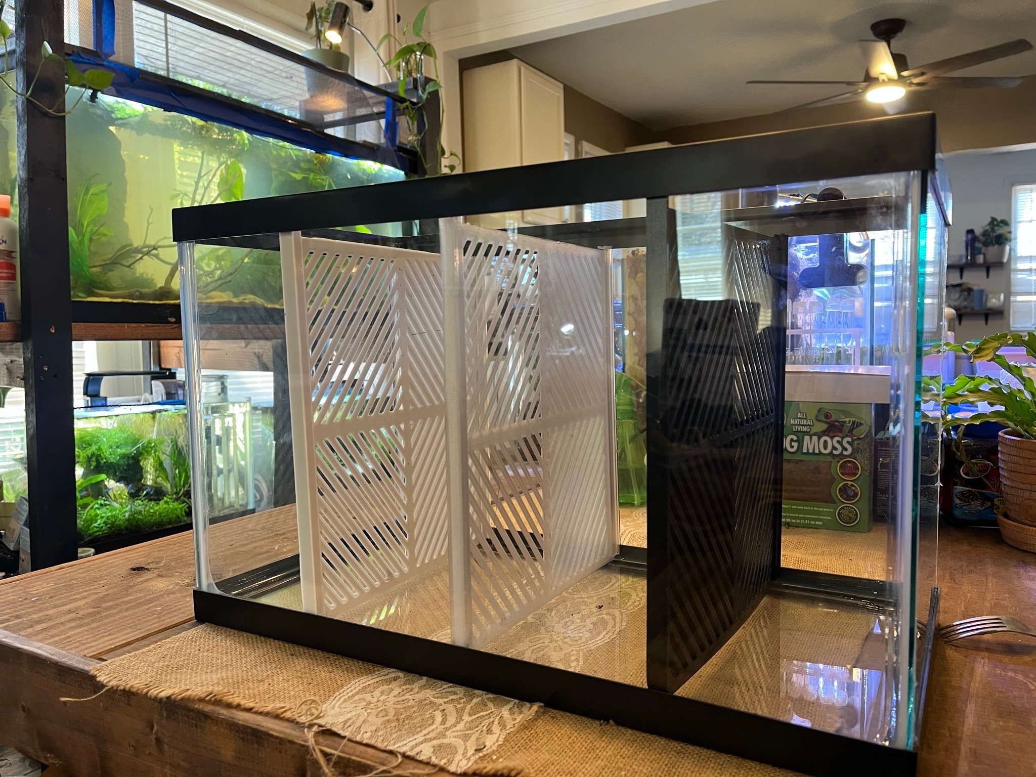 big net dividers for fish tanks 18Pcs Aquarium Tank Divider Plastic Egg Crate Aquarium Filter Bottom Tray Grid Isolation Board Partition Pane Separator Mixed Breeding Light Diffuser 24Pcs Sucker Clips Suction Cups,Black which is 10 Gallon Aquarium Divider: 3D
