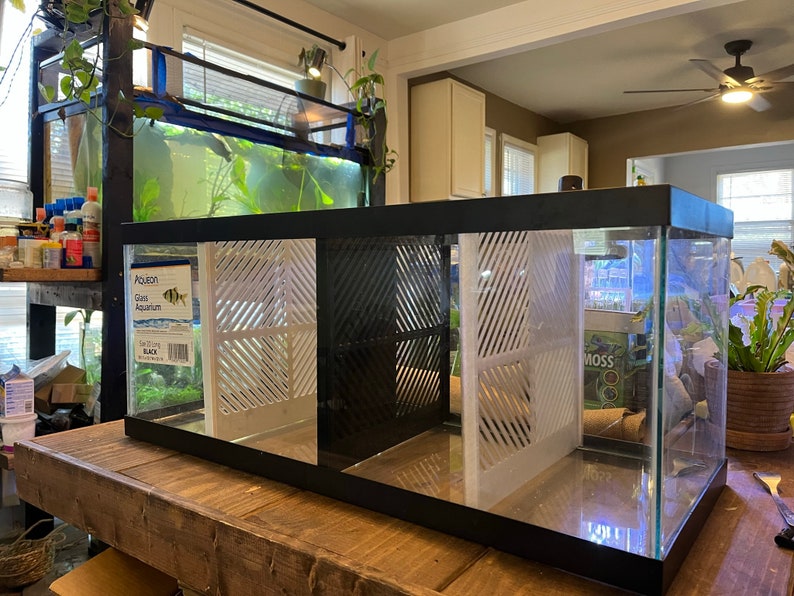 20 Gallon Long 3D Printed Aquarium Divider Betta Tank Divider Etsy