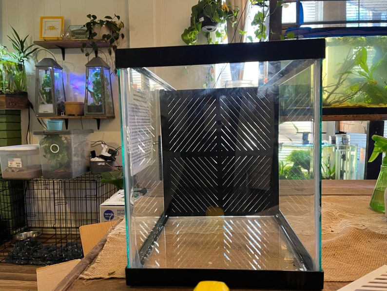 10 Gallon 3D Printed Aquarium Divider Betta Tank Divider Etsy