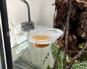 Permanent Gecko Feeding Ledge W/ Disposable Cups