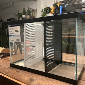 May include: A black glass aquarium with a white and black divider. The aquarium is sitting on a wooden table. The aquarium is labeled "Aqueon Glass Aquarium Size 20 Gallon Black".