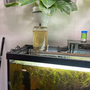 Aquarium Inverted Tank Holder / Betta Penthouse For Wide Mouth Jars