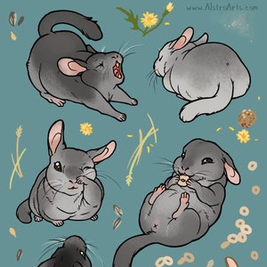 Chinchilla Sticker Sheet