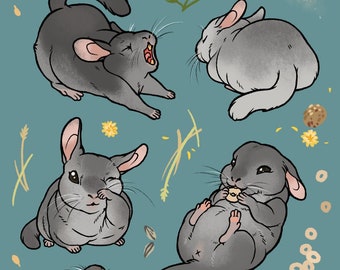 Chinchilla Sticker Sheet