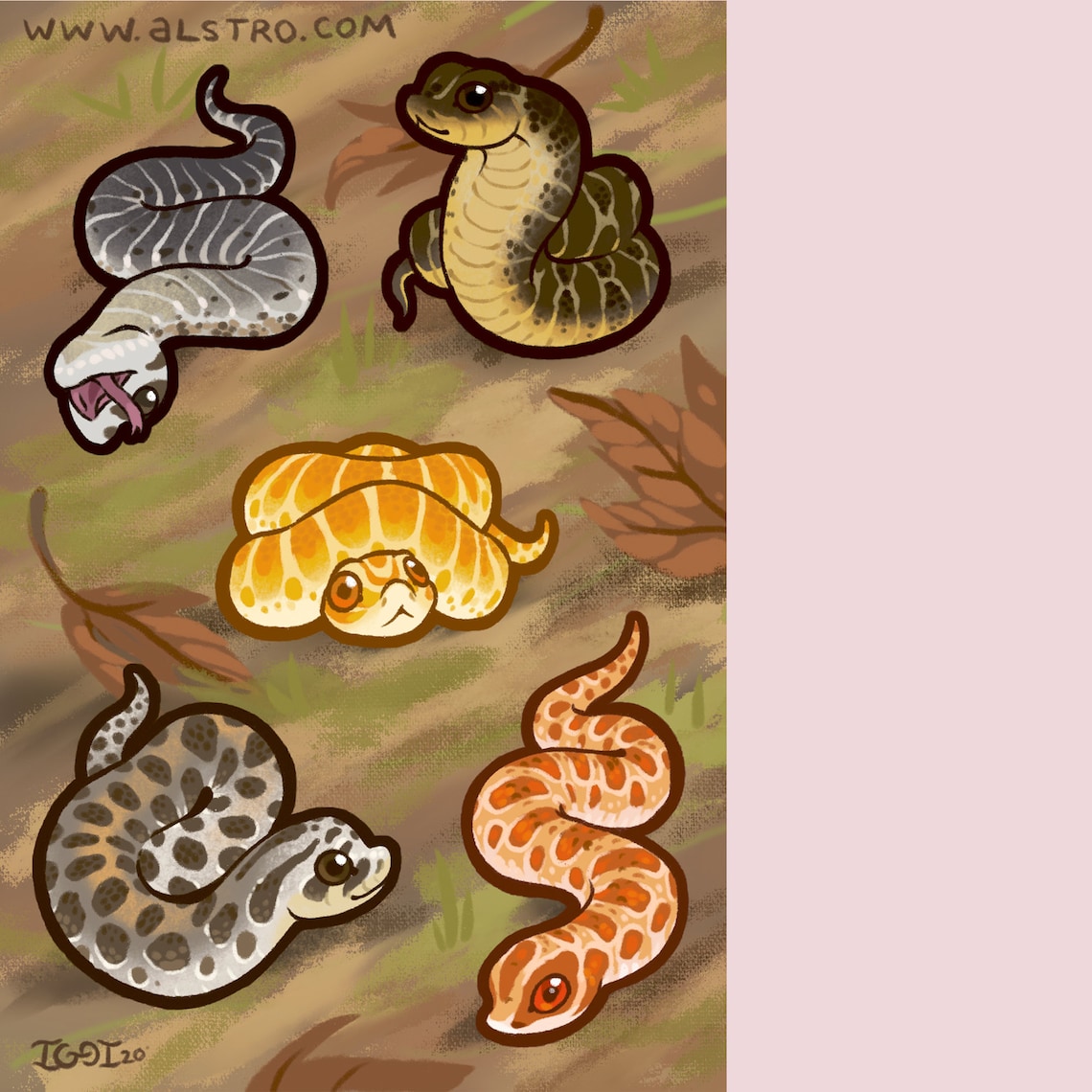 Hognose Snake Stickers Etsy