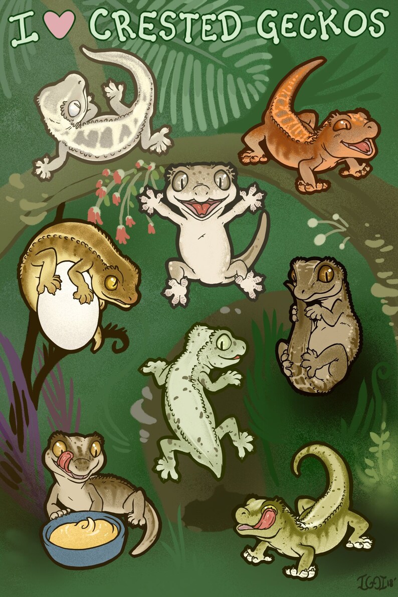 Crested gecko stickers