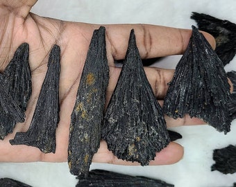 1-3&quot; Black Kyanite Fans Raw