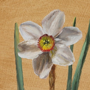 Original Flower Oil Painting on Round Panel, Daffodil Original Poet Daffodil Oil Painting Fine Art, Classic Realism, Original Artwork