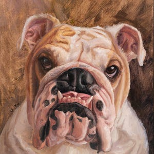 Custom Pet Portrait Painting From Photo, Hand Painted Realistic Oil Painting on Canvas, Customized Gift for Lasting Memories, Pet Lovers