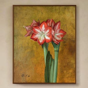 Original Flower Oil Painting, Red Amaryllis Oil Painting, Amaryllis Flower, Bloomaker Giant Amaryllis, Classic Fine Art, Original Painting