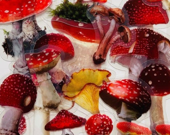 20 Vinyl Transparent Toadstool Sticker Pack, Waterproof Reusable Set, Clear Fairy Garden Fungi Mushroom Pixie Elf, Scrapbook Case Glass Art