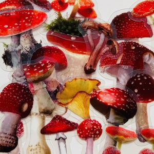 Lot de 20 autocollants en vinyle transparent, lot de 20 autocollants imperméables réutilisables, elfe lutin champignon champignon clair féerique, étui pour album de scrapbooking sur verre