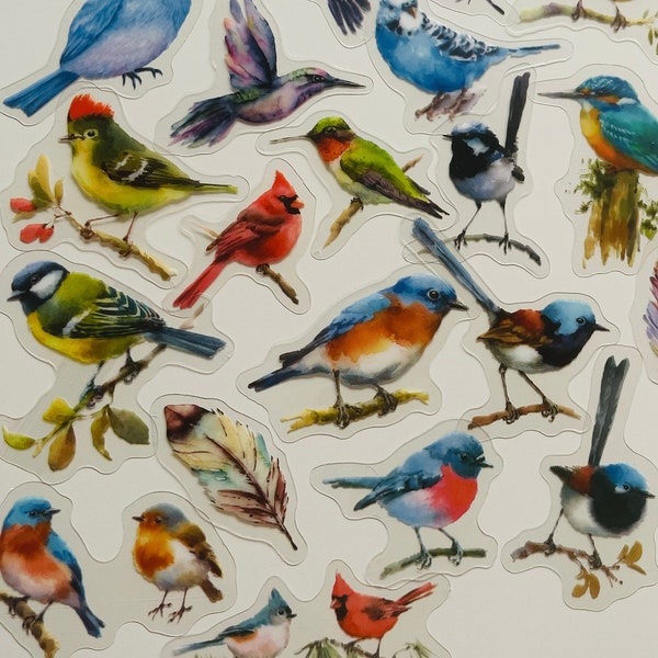 20 Vinyl Transparent Bird Sticker Pack, Waterproof Reusable Set, Clear Colourful Garden Feathers Robin Watcher, Journal Card Glass Craft