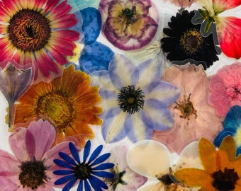 20 Vinyl Transparent Flower Sticker Pack | Waterproof Reusable Set | Clear Realistic Flower Floral Stem Florist Petal | Journal Card Craft