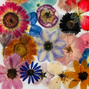 20 Vinyl Transparent Pressed Flower Sticker Pack, Waterproof Reusable Set, Clear Realistic Floral Stem Florist Petal, Journal Card Craft