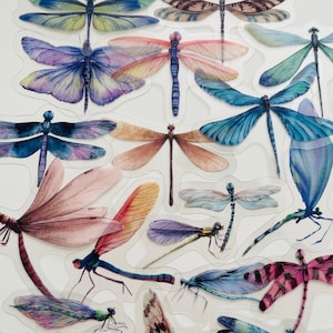 Confezione da 20 adesivi in vinile trasparente con libellula, set riutilizzabile impermeabile, mosche da giardino con ali graziose e trasparenti, carta da giornale in vetro artigianale