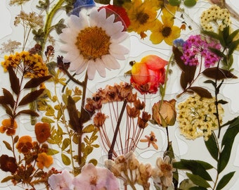 20 Vinyl Transparent Wildflower Sticker Pack, Waterproof Reusable Set, Vintage Clear Flower Floral Stem Florist Petal, Journal Card Craft