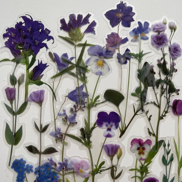 20 Confezione di adesivi in vinile trasparente con fiore viola, set riutilizzabile impermeabile, fiorista floreale a stelo floreale Wildflower Peta,/Journal Card Craft Art