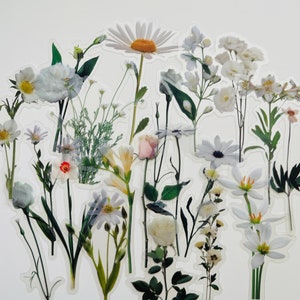 Lot de 20 autocollants en vinyle transparent blanc avec fleurs, ensemble réutilisable imperméable, pétales de fleuriste transparents, fleurs sauvages, tiges, carnets d'art sur verre
