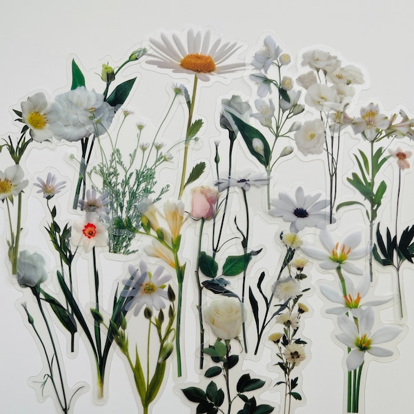 20 Vinyl Transparent White Flower Sticker Pack, Waterproof Reusable Set, Clear Wildflower Floral Stem Florist Petal, Journal Card Glass Art