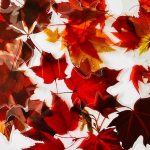 Paquete de 11 pegatinas de hojas de arce transparentes de vinilo, juego impermeable y reutilizable, hojas de otoño rojas canadienses secas transparentes, estuche para álbumes de recortes, arte de vidrio
