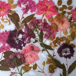 Lot de 12 autocollants en vinyle transparent moyen avec fleurs sauvages, imperméables réutilisables, fleurs roses pressées transparentes, tige florale, rose, création de cartes pour carnet