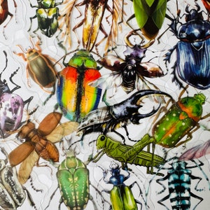 20 Vinyl Transparent Insect Stickers, Die Cut Decal Set, Clear Waterproof, Bugs Spiders Ants Flies Creepy Crawlies, Journal Laptop Glass