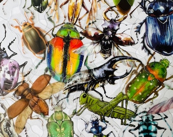 20 stickers insectes transparents en vinyle, lot de stickers découpés, transparents imperméables, insectes araignées fourmis mouches rampants effrayants, carnet en verre pour ordinateur portable