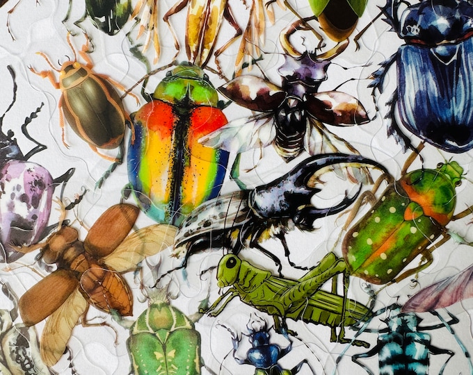 20 Vinyl Transparent Insect Stickers, Die Cut Decal Set, Clear ...