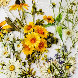 11 winylowych przezroczystych naklejek Daisy, wodoodpornych do wielokrotnego użytku, przezroczystych dzikich kwiatów, ładnych sprasowanych kwiatów, łodyg kwiatów, dziennika, kart, rzemiosło artystyczne