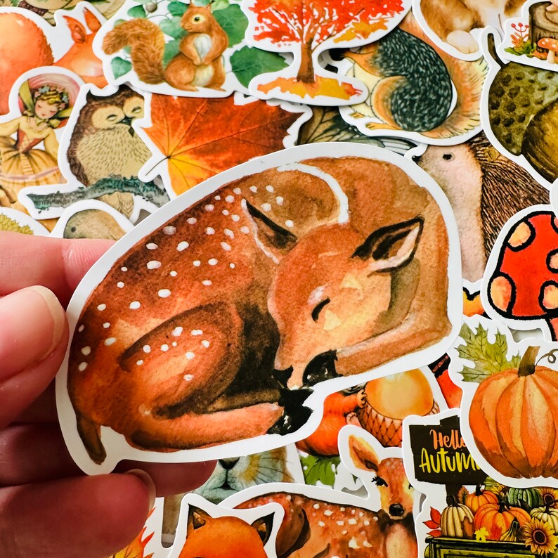 Op de afbeelding: Een aquarel sticker van een slapende fawn met bruine en witte vlekken. De fawn ligt opgerold met zijn hoofd op zijn lichaam. De sticker is op een witte achtergrond.