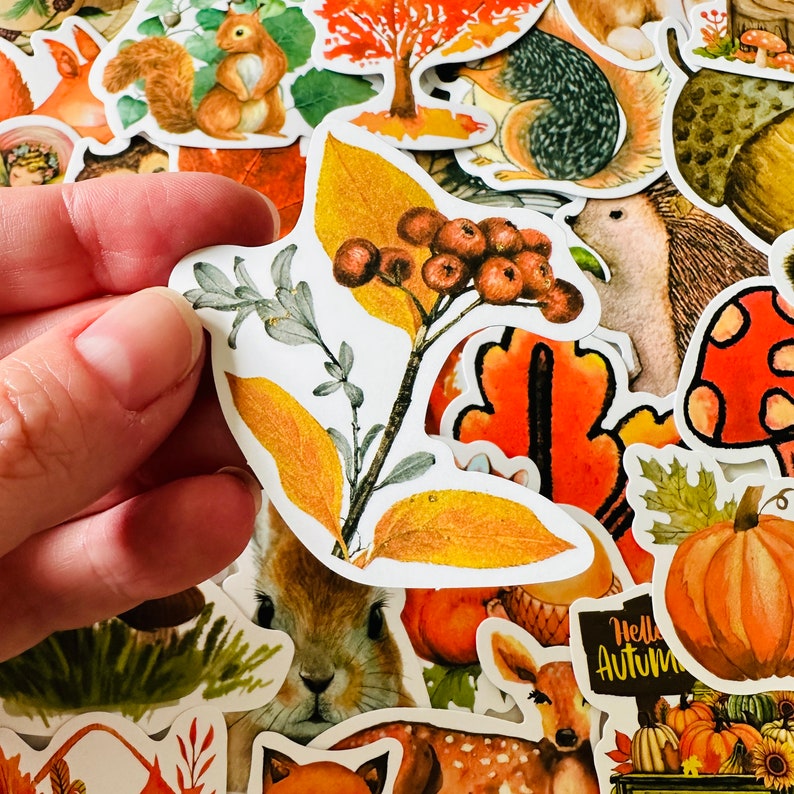 Op de afbeelding: Een verzameling herfst-stickers met verschillende ontwerpen, waaronder een eekhoorn, een egel, een pompoen, een paddenstoel en een blad met bessen. De stickers zijn gedrukt op wit papier en hebben een glanzende afwerking.