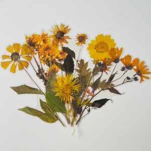 6 große transparente Vinyl Wildblumen Aufkleber, wasserdicht wiederverwendbar, klar gepresste Blume Blumenstamm Rose Sonnenblume, Journal Card Craft Bild 2