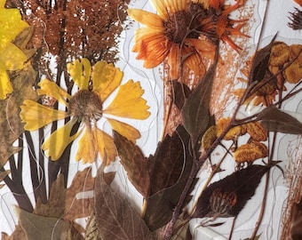 Paquete de 12 pegatinas otoñales de vinilo transparente, impermeables y reutilizables, con pétalos de flores amarillas prensadas, para manualidades de diario y tarjetas.