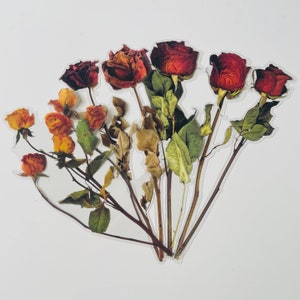 6 große transparente Vinyl Wildblumen Aufkleber, wasserdicht wiederverwendbar, klar gepresste Blume Blumenstamm Rose Sonnenblume, Journal Card Craft Bild 5