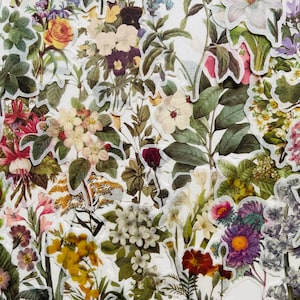 30 Wildblumen Aufkleber, Vintage gepresste Blumen Blumenstrauß Stengel Floristen Blütenblatt Set, hübsches Washi-Flocken-Papier, Journal Planer Craft