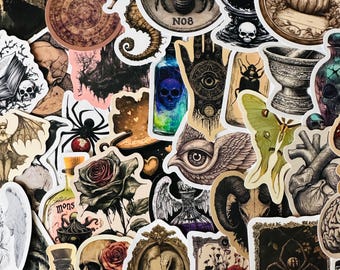Op de afbeelding: Een verzameling diverse stickers met een gotisch en mystiek thema. De stickers bevatten illustraties van schedels, spinnen, rozen, ogen, motten en andere occulte symbolen. Het kleurenpalet omvat zwart, wit en tinten bruin en groen.