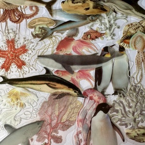 Paquete de 20 pegatinas de vinilo transparente con diseño de vida marina, resistentes al agua, con diseño de medusas, ballenas y pingüinos, para decorar el baño, diario y portátil.