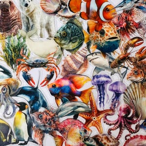 Calcomanías marinas transparentes de vinilo 25/50, calcomanía troquelada, transparente, reutilizable, brillante, realista, vida marina, concha de pez, arte de vidrio para ventana de planificador