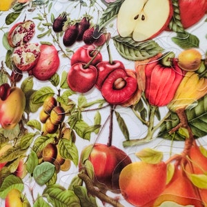 Pacote com 20 adesivos de vinil transparentes de frutas, conjunto reutilizável à prova d'água, cesta de madeira de cereja laranja e maçã silvestre transparente, cartão de diário artesanal