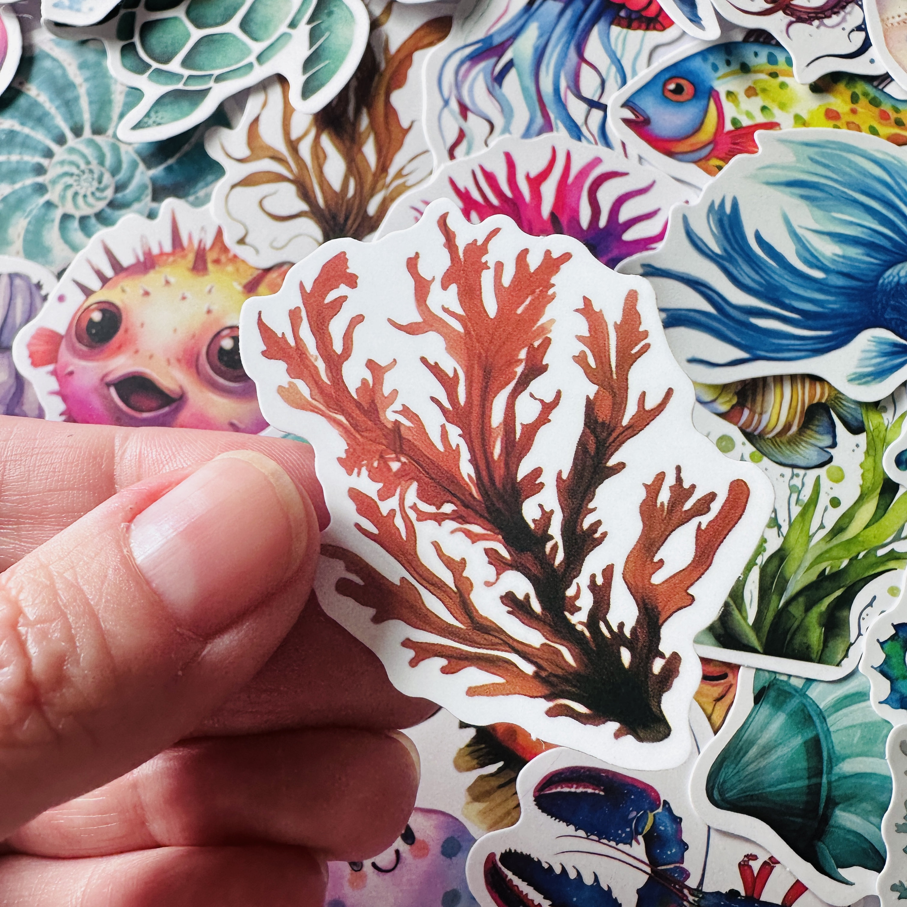 Life Fish Sticker 25/50 Vinyl Marine Life Stickers, Die Cut Decal Set, Waterproof ...