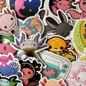 25/50 Vinyl Axolotl Stickers, Die Cut Decal Set, Waterproof Reusable, Cute Pink Salamander Amphibian Aztec Walking Fish, Journal Laptop Gift