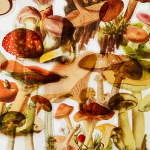 Lot de 11 autocollants en vinyle transparent champignon, lot réutilisable imperméable, jardin féerique clair, champignon lutin, lutin elfe, étui pour album d'albums en verre