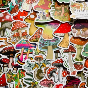 25/50 autocollants en vinyle pour champignons vénéneux, lot de décalcomanies découpées, imperméables réutilisables, féeriques champignons du jardin, champignons magiques lutin lutin, agenda pour ordinateur portable